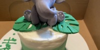 Baby-Elephant