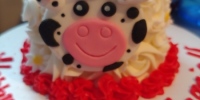 Daisy-Cow-Smashcake