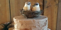 bird wedding tier